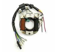 STATORE VOLANO MAGNETE 2 BOBINE PIT BIKE 4T ATV 88 90 125 140