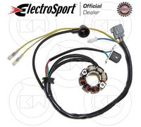 STATORE VOLANO MAGNETE BOBINA ELECTROSPORT ESL740 per SUZUKI RM-Z 250 2005
