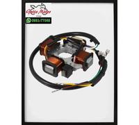 STATORE VOLANO MAGNETE PIAGGIO CIAO EURO 1 RMS 246350510 TIPO ORIGINALE 293814