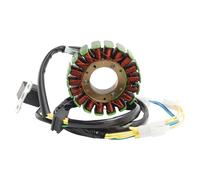 STATORE VOLANO PER SYM CITYCOM 125 (2009-2010-2011-2012-2013-2014-2015) S1