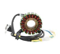 STATORE VOLANO PER SYM CITYCOM 125 (2009-2010-2011-2012-2013-2014-2015) S1 H7