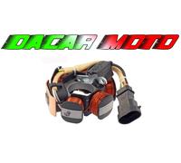 Statore volano PIAGGIO ZIP SP EURO2 50 2006 2007 2008 2009 2010 RMS 246350072