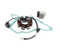 STATORE VOLANO REGOLATORE GUARNIZIONE PER KAWASAKI KLX 110 KLX110 2003-2009 Y1