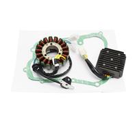 STATORE VOLANO REGOLATORE GUARNIZIONE PER LINHAI HYTRACK 260 300 310 320 400 L3