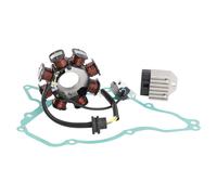 STATORE VOLANO REGOLATORE GUARNIZIONE PER SUZUKI DRZ110 DR-Z 110 2003-2005 H7 H7