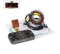 STATORE VOLANO REGOLATORE GUARNIZIONE PER SYM CITYCOM 300 EFI LH30W-6 2008-09 Y1