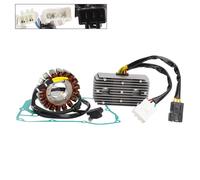 STATORE VOLANO REGOLATORE GUARNIZIONE PER SYM CRUISYM JOYMAX 300 250 i GTS 12-17