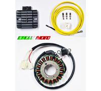 STATORE VOLANO+ REGOLATORE YAMAHA MWD TRICITY 300 2020 2021 2022 2023 TRIFASE