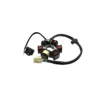 Statore Z190 Per Moto Da Pit 190CC 2V Avviamento Elettrico