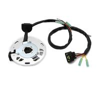 Statorspule 21003-0021 Generatore Di Statore E Bobina Magneto Per Componenti Moto Per Kawasaki KX125 KX125-M1 2003 KX125-M2 2004 KX125-M3 2005