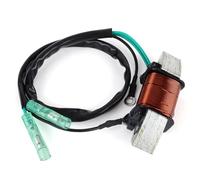 Statorspule Accessori Per Bobina Statore Magnete Generatore Per Moto Per Yamaha 40 CV 40X E40X M(W/T) HS/L MHL