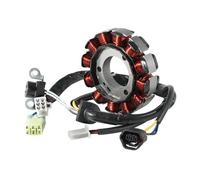 Statorspule Bobina Di Carica Dello Statore Del Motore Dell'alternatore Generatore Magneto Magnetico Moto Per Yamaha LC125 EGO Per Xeon 125 Per Karbu OEM: 44D-H1410-00