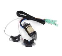 Statorspule Bobina Statore Generatore Magneto Elettrico Per Yamaha 25HP 25B MHS M/W/HCS WHS/L MHS/L