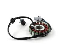 Statorspule Bobina Statore Generatore Magneto Magnetico Per Benelli TNT25 TNT250 BN251 TRK251 LEONCINO250 / BN TNT TRK LEONCINO 25 250 251