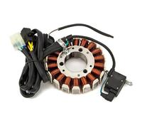 Statorspule Bobina Statore Motore Generatore Magneto Per Motocicletta Per CLR125 City Fly XLR125 XLR125RW FTR223 CRF230 CRF230L CRF230M SL230 SL230X