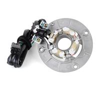 Statorspule Bobina Statore Motore Magnete Per Motocicletta Per Yamaha YZ426F YZ426FM 2000 YZ426FN 2001 YZ426FP 2002