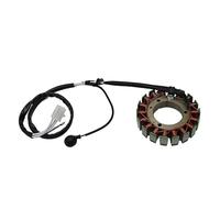 Statorspule Per Yamaha XV700 Virago 700 1987 4PP-81410-00 1RM-81410-20 Bobina Statore Magnete Per Moto