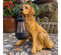Statua a forma di cane da esterno con luci solari, statuetta realistica Golden Retriever per decorazione da giardino, lampada antivento con lanterna solare
