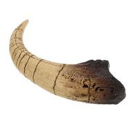 Statua Artificiale Di Artiglio Dinosauro Modelli Dinosauri Realistici Animale
