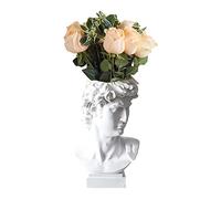 Statua David, Vaso di Fiori, Testa di David, Busto Scultura, Scultura, Scultura, Scultura di David, Scultura di David, Testa Decorativa, Vaso Decorativo, portapenne