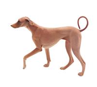Statua del cane azawakh Figurina per cani realistici Figurina da collezione