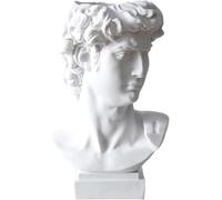 Statua di David, Testa, Ritratti, Mini Busto, Gesso, Michelangelo, Decorazione per La Casa, Resina, Arte, Artigianato, Schizzo, Ornamento per La Sala Pratica, S