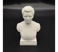 Statua di Newton, busto dello scienziato Einstein, stampa 3D, figura di Galileo Madame Curie, scultura Tesla, per soggiorno, decorazione per la casa, scrivania, statuetta della collezione Tesla, busto