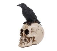 Statua Di Un Corvo Posato Su Un Teschio Decorazione Figurina Realistica