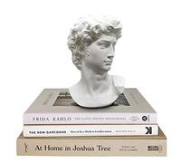 Statua greca di David - Busto testa per mitologia e decorazione domestica romana