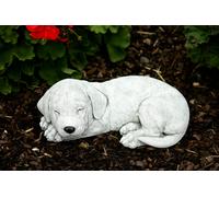 Statua in pietra cane cucciolo labrador statua da giardino resistente al gelo...