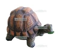 STATUA TARTARUGA SALVADANAIO IN RESINA CM23.5X15 ARREDO GIARDINO INTERNO ESTERNO