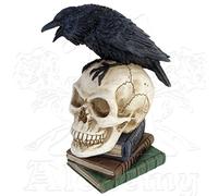 Statuetta Poes Raven Alchemy Gothic (20.3 Cm)