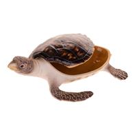 Statuetta Tartaruga Marina 24 cm