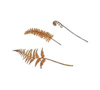 Statuette artificiali a forma di foglie di felce arrugginite, ideale per la primavera, per uso interno/esterno, decorazioni da giardino per gli amanti della natura