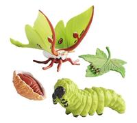 Statuette Del Ciclo Di Vita - Set Di PP Luna Moth Farfalla Tartaruga Formica Rana, Modelli Realistici E Dettagliati Del Ciclo Di Crescita Degli Animali, Dipinti A Mano Inodore | Giocattolo Cognitivo P