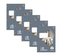Staufen Style Blocco fogli di lavoro LIN 2-5 blocchi da 50 fogli ciascuno, DIN A4, 70 g/m², rigato (4/4/4 mm), 4 fori