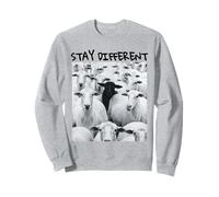 Stay Different Be Unique Sheep Graphic con Una Pecora Nera Felpa