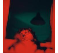 Stay With The Horses