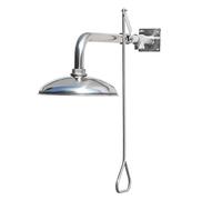 Stazione di lavaggio oculare di emergenza a parete, in acciaio inox rivestito in ABS, doccia di sicurezza con lavaggio oculare per laboratorio, industriale e uso esterno