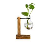Stazione Di Propagazione Con Cremagliera In Legno 1 Lampadina Vaso Di Avocado Vintage Vaso Di Vetro Per Provette Vasi Per Fiori Pianta Di Ghianda Per Casa Tavolo Scrivania Decorazioni Per Interni