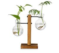 Stazione Di Propagazione Con Cremagliera In Legno 2 Lampadina Vaso Di Avocado Vintage Vaso Di Vetro Per Provette Vasi Per Fiori Pianta Di Ghianda Per Casa Tavolo Scrivania Decorazioni Per Interni