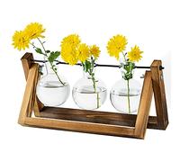 Stazione Di Propagazione Per Piante Upgrade Bulb Vase Planter Con Supporto In Legno Vaso Per Piante In Vetro Indoor Per Table Centrotavola Decorazione Vintage Home Office Accessori, 3 Lampadine