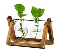 Stazione Di Propagazione Per Piante Upgrade Bulb Vase Planter Con Supporto In Legno Vaso Per Piante In Vetro Indoor Per Table Centrotavola Decorazione Vintage Home Office Accessori, 2 Lampadine