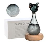 Stazione meteo tempesta, bottiglia previsioni meteo a forma di gatto, meteo barometro in vetro con base in legno, vetro tempesta, regalo originale per compleanni da donna (gatto nero)