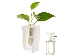 Stazione per la propagazione di piante vive - Vaso per piante in con supporto in legno, supporto per l'aria, espositore di fiori, terrario decorativo per il giardino a casa, in ufficio, per