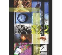 Steal Adcock M a Surrealist Photography Collection (Tascabile)