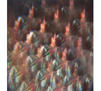 Stealing Sheep - Into The Diamond Sun (2 LP)