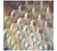 Stealing Sheep - Into The Diamond Sun