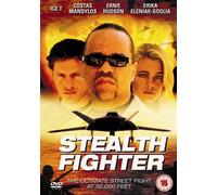 Stealth Fighter [Edizione: Regno Unito]
