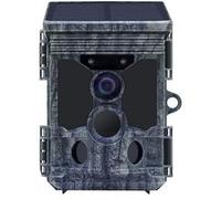 Stealth Gear Wildcamera Fox Solar 4K Wifi